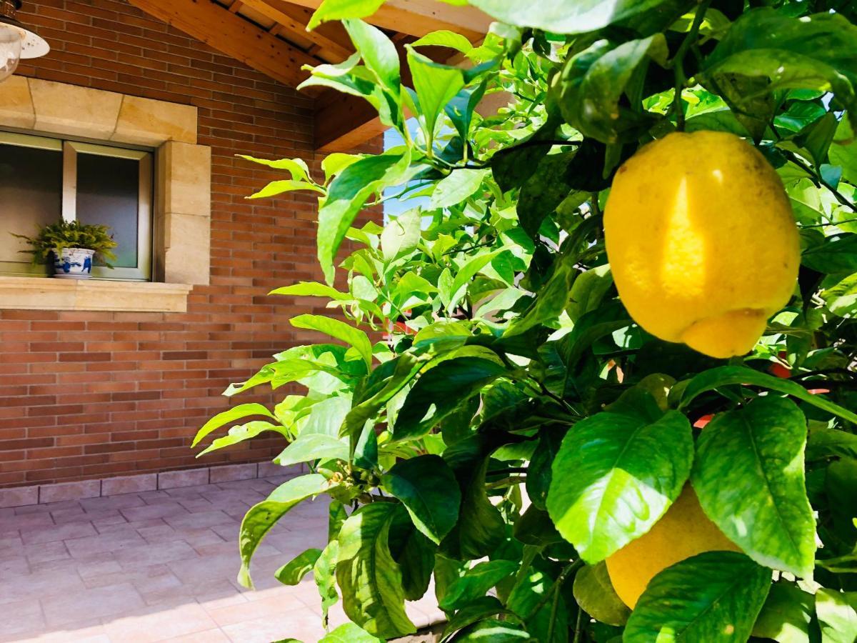 Chalet Con Piscina Privada!!! Altafulla Εξωτερικό φωτογραφία